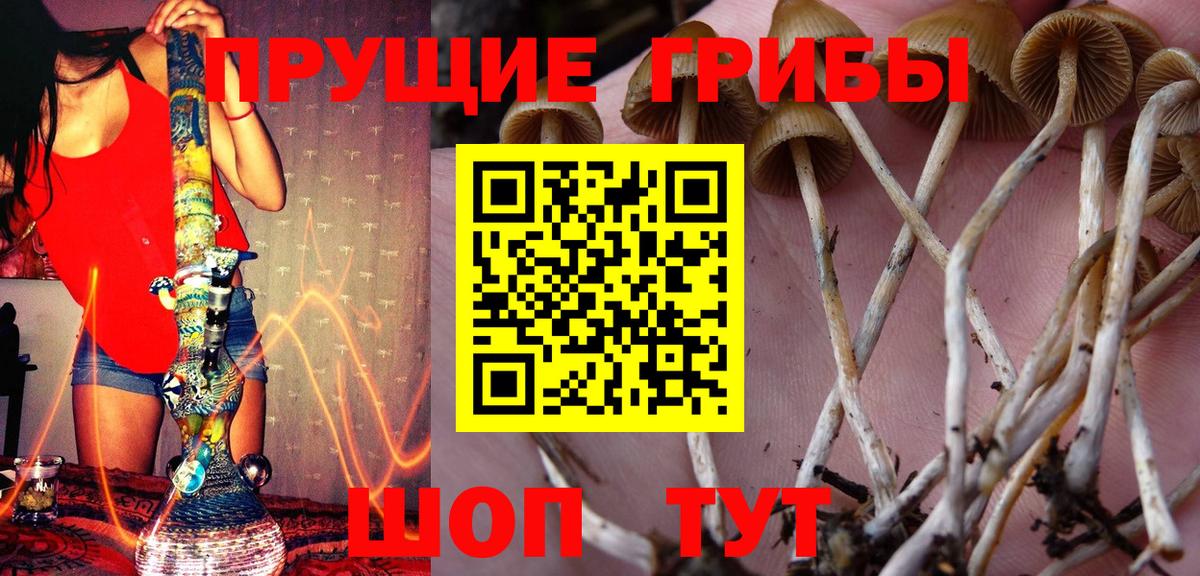 Полевской  Галлюциногенные грибы Psilocybe  Вход с VPN 